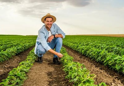 filtrox bueiros, filtros para bueiros, boca de lobo, bueiro ecologico, bueiro inteligente
