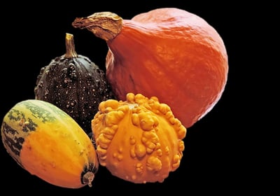 Qi Nourishing Foods