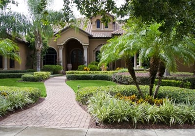 a house with a walkway and palm trees
