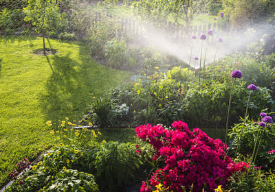 a garden with flowers and a sprinkler