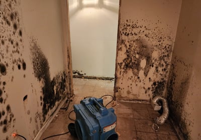 Prevent mold after water damage