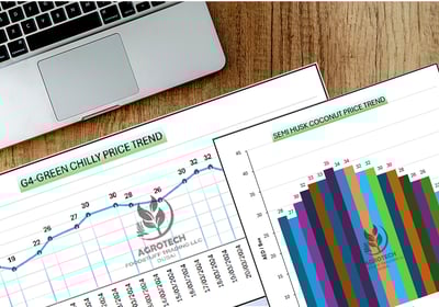 Market Analysis and Research