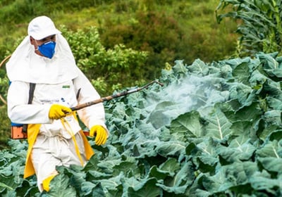 Agrizon provides top-quality pesticides and chemicals, ensuring effective crop protection and health