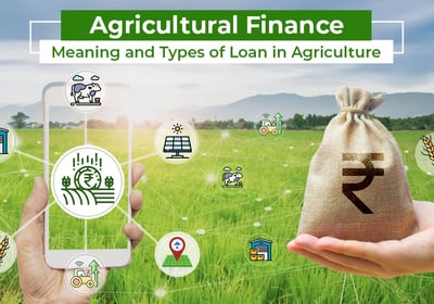 Farmers exploring Agri Finance and Crop Insurance options with an advisor from Agrizon, showcasing s