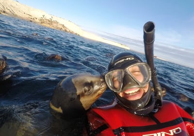 snorkeling con lobos marinos