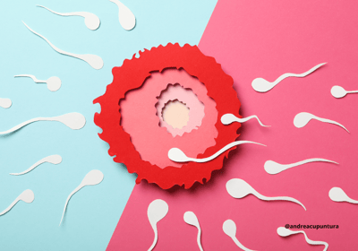 óvulo, esperma, fecundação, infertilidade feminina e masculina