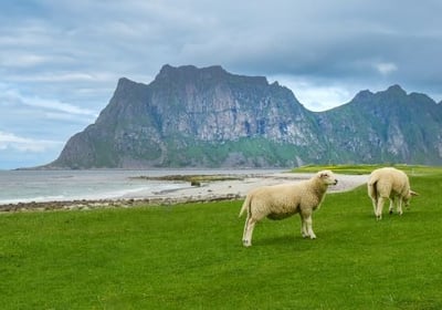 Kelionės kemperiu, Norvegija lofotenai