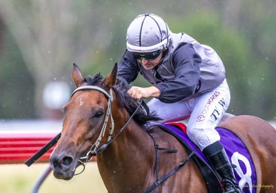 Horse racing at Nanango Racetrack