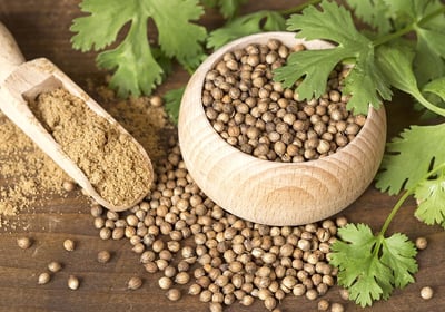 Whole Coriander Seeds