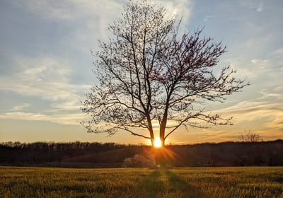 Farm field sunset start of something new