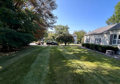 Lawn Mowing Edging