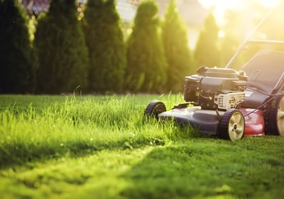 Tondeuse en action dans un jardin.