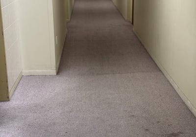commercial carpet cleaning for condos and rental buildings
