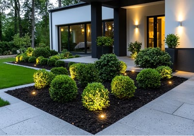 Perfect trimming of trees with mulch around to wee control