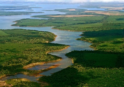 Esteros del Ibera - Wetlands in Corrientes