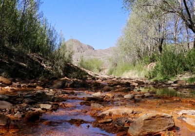 La Carolina-Tomolasta Hills - San Luis