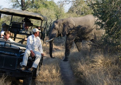 Tourists on a Safari in South Africa