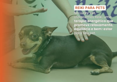 Reiki para Pets é na Lucky Vet, Pet Shop e Clínica Vererinária na Zona Norte de São Paulo