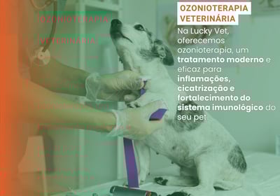 Ozônioterapia Veterinária é na Lucky Vet, Pet Shop e Clínica Vererinária na Zona Norte de São Paulo