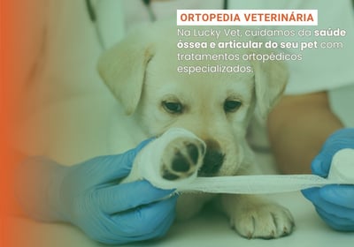 Ortopedia Veterinária é na Lucky Vet, Pet Shop e Clínica Vererinária na Zona Norte de São Paulo
