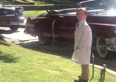 David Friedman in Young Doctors in Love
