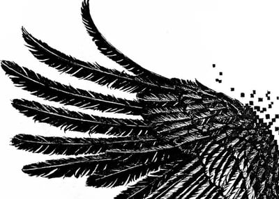 - “Cóndores Joyas Aladas”-2023                                 