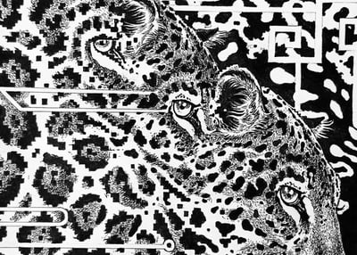 - “Jaguares Fantasmas Nocturnos”-2024