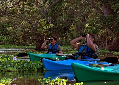 Tour en Kayak