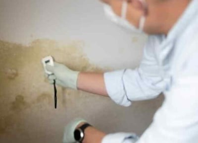 Basic Mold Inspection, Carlsbad, Vista, Oceanside