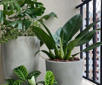paisagismo interiores