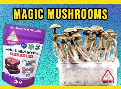 Magic Mushrooms Malta