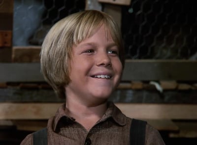 David Friedman in The Last Farewell
