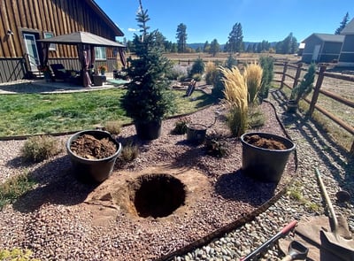 Earthly Elevations tree planting in Pagosa Springs, Colorado 