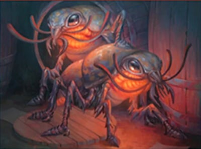 Fire Beetles