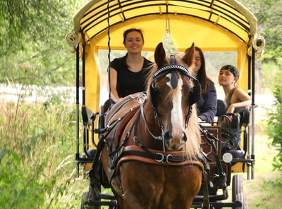 une balade visite foret brocéliande en caleche contes