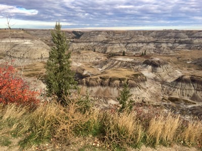 Horseshoe Canyon