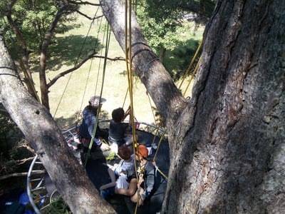 Groupe de jeune sur une plateforme suspendue dans les arbres