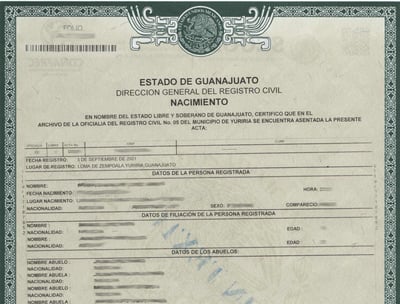 Professional birth certificate translation services by Lang Lumin