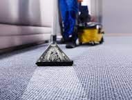 carpet cleaning fort lauderdale service