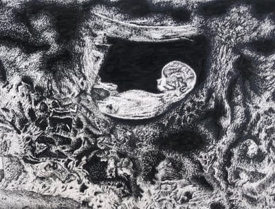 An ink drawing of a fetus inside a cave.