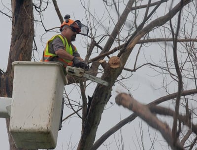 a man in a safety vest is working on a tree