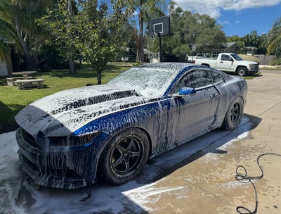 Mustang Covered In Soap After Being Washed