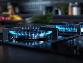 gas stove repair