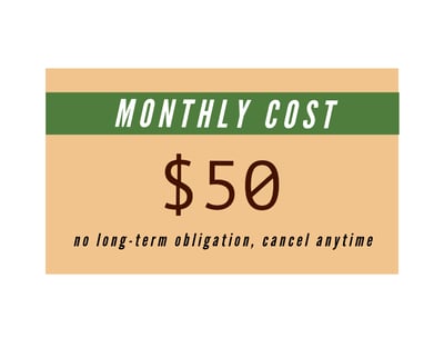 Essentials website design and hosting package for $50 per month