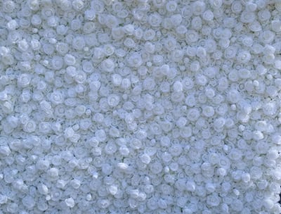 White 3d flower wall backdrop