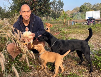 organic farm with dogs หมา ออร์แกนิค