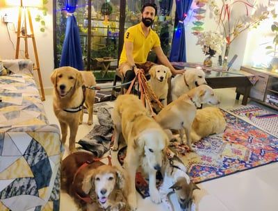 Cagefree Dog Homestay