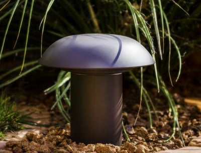 Outdoor speaker installed in the landscape garden