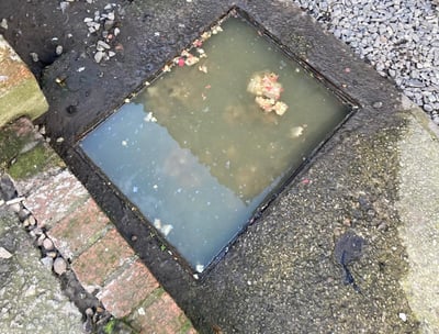 Blocked Drain in Warrington