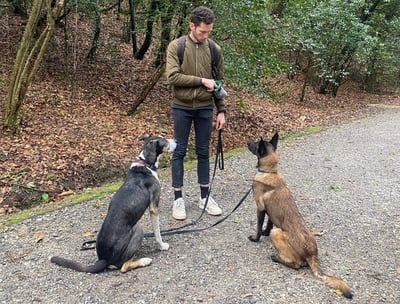 entrainement éducateur canin pendant une session d'éducation avec son chien à Bayonne, anglet